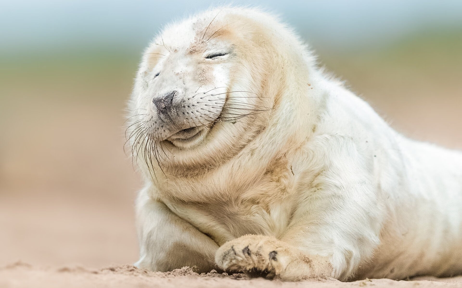 意甲球队基于心率变异性优化训练计划，心率变异度被心理学家们称为身体意志力的储备